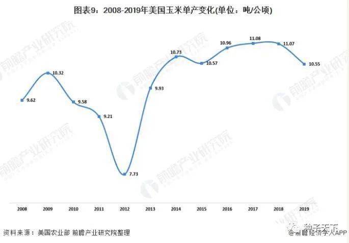 玉米市场趋势与未来展望，最新分析图探讨市场走势