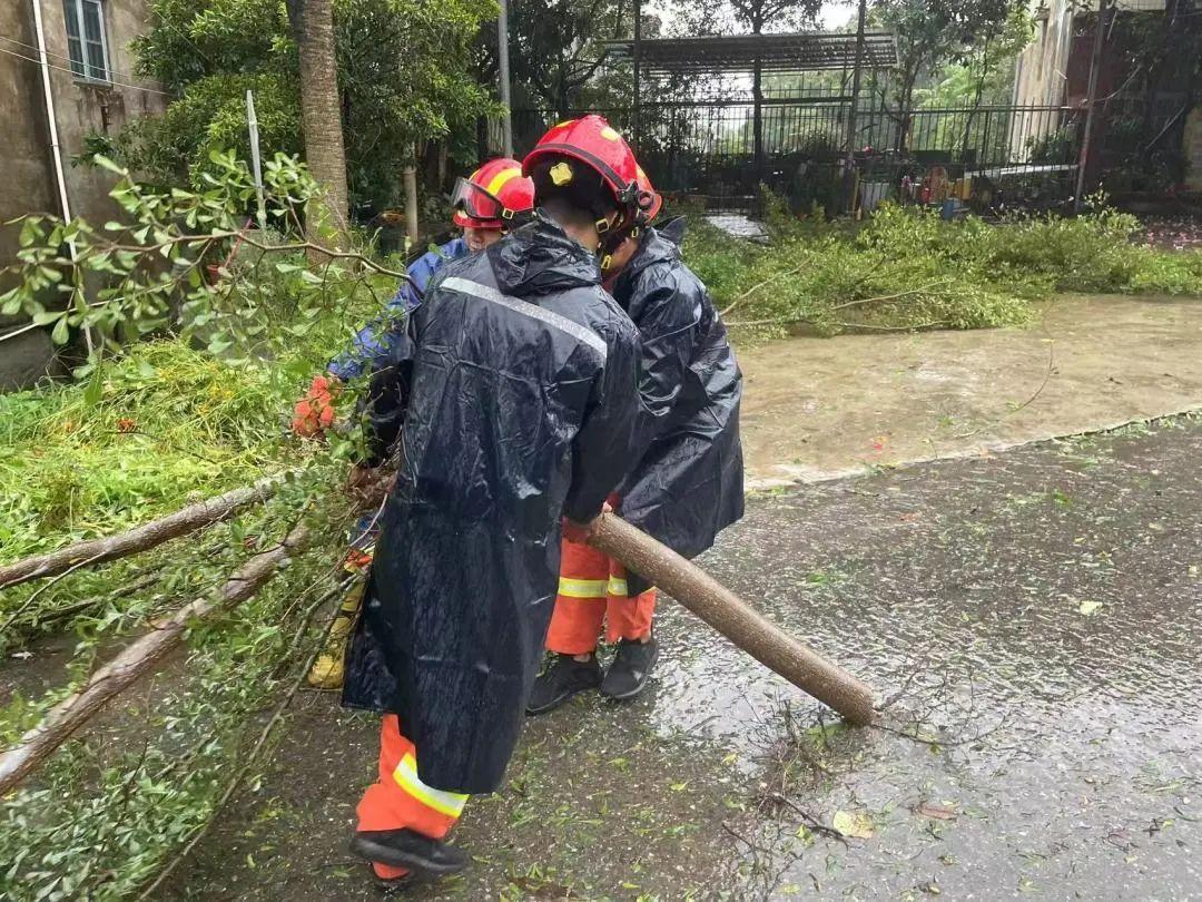 广西北海台风最新动态与影响概述