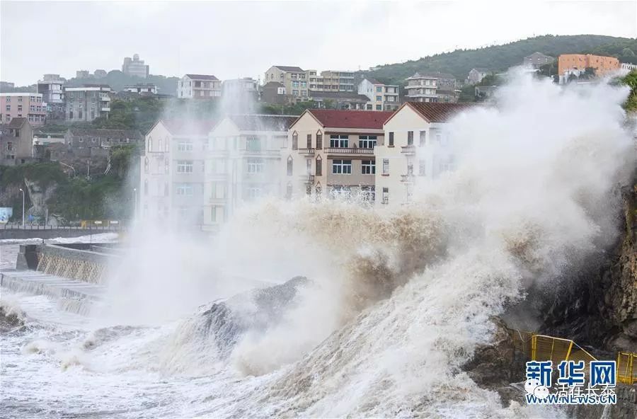 福建台风最新动态，影响与应对策略