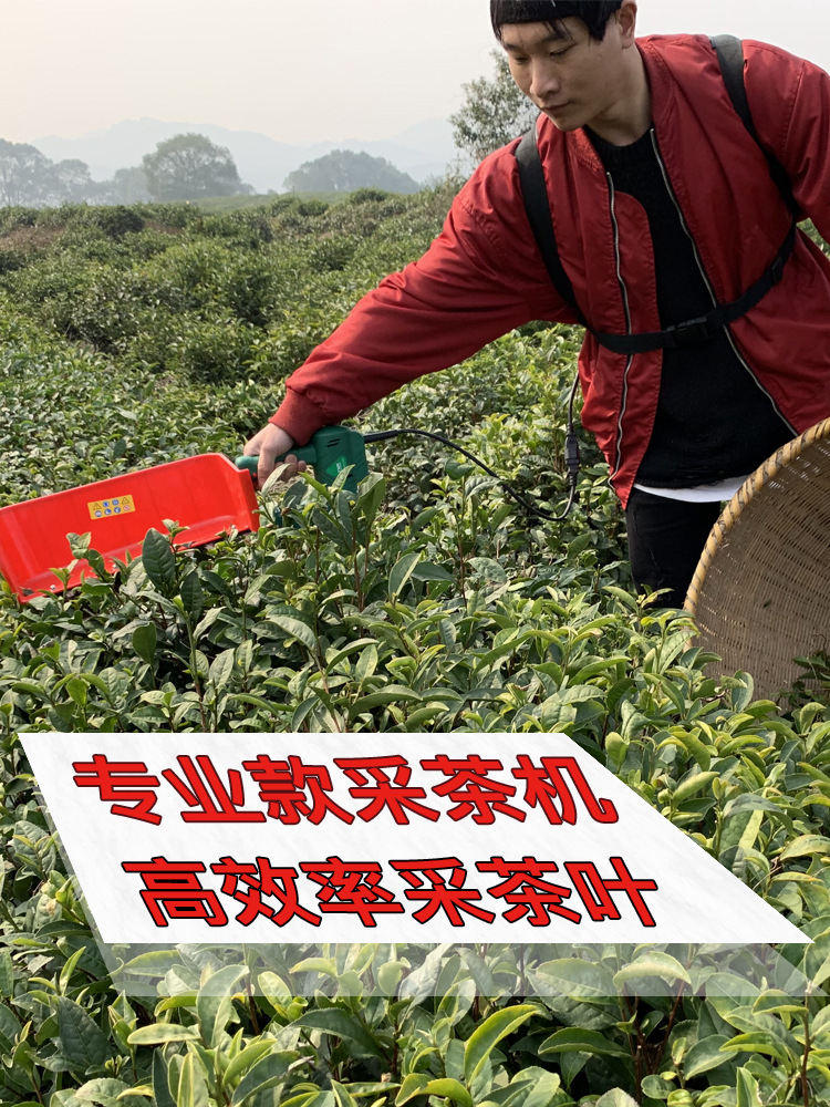 一芽一叶采茶机技术革新引领产业变革