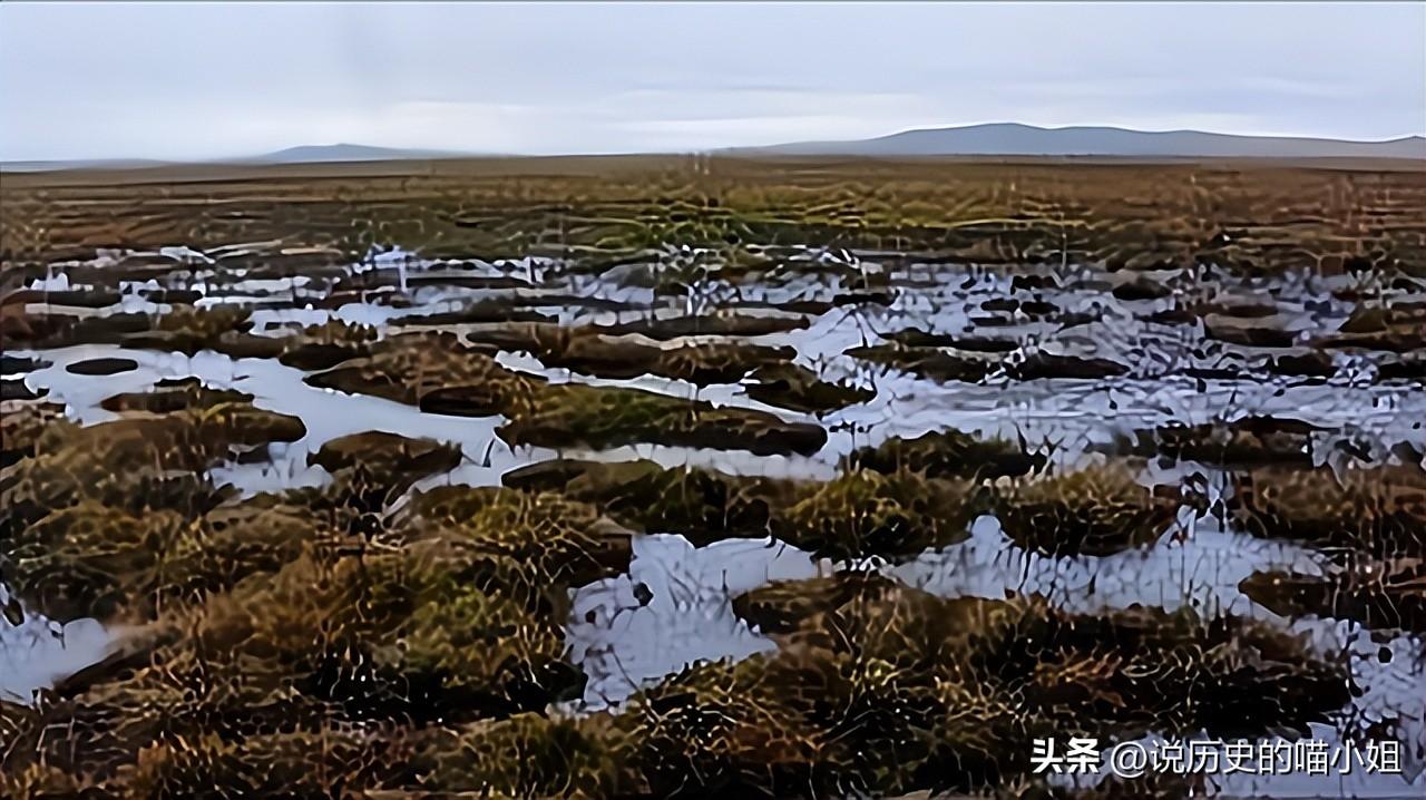 草根首长的崛起，深度解析最新章节