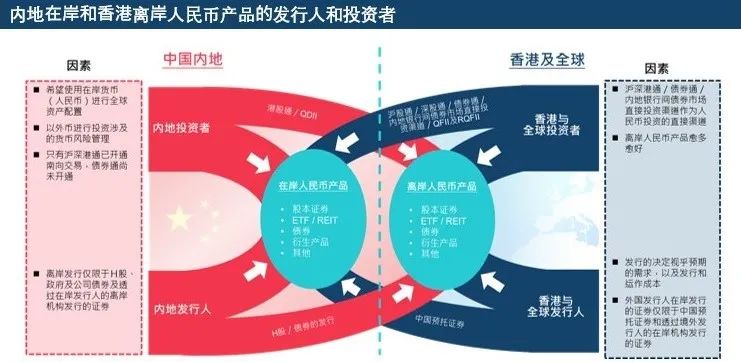 2024新奥资料免费精准175,实践策略实施解析_5DM73.653