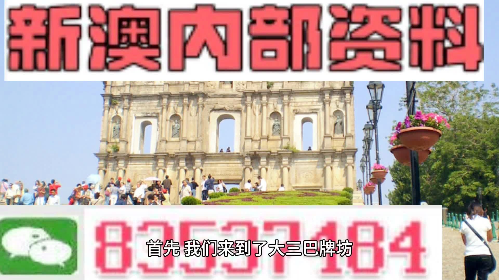 2024新澳天天资料免费大全,深入分析解释定义_优选版81.480