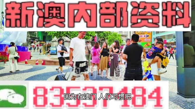 2024新澳精准资料大全,高效策略设计解析_储蓄版45.204