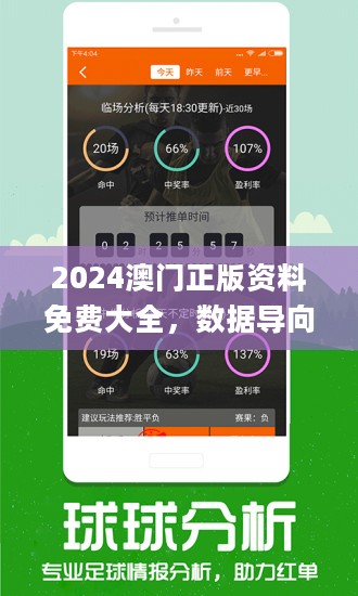 2024澳门濠江免费资料,全面计划解析_豪华版41.989