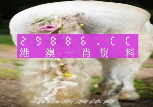 澳门一肖一码资料_肖一码,前沿解答解释定义_R版24.60