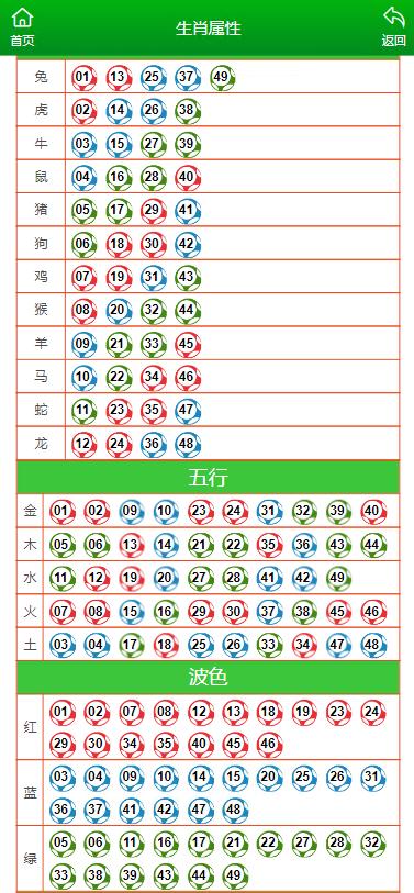 2024年12月1日 第49页