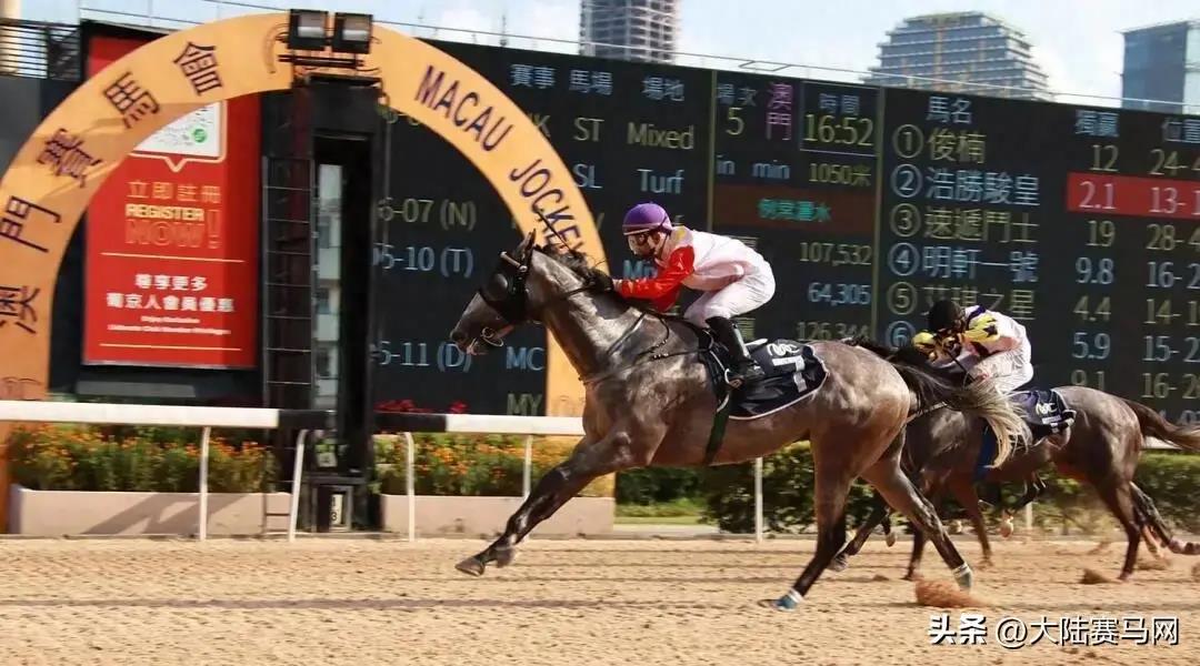 港澳研究院买马开奖,高速响应方案设计_尊享款38.494