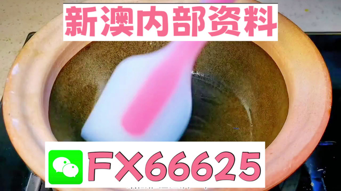 新澳精准资料免费提供510期,动态词语解释落实_纪念版96.724