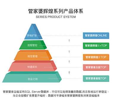 澳门管家婆100%精准,数据实施整合方案_V43.863