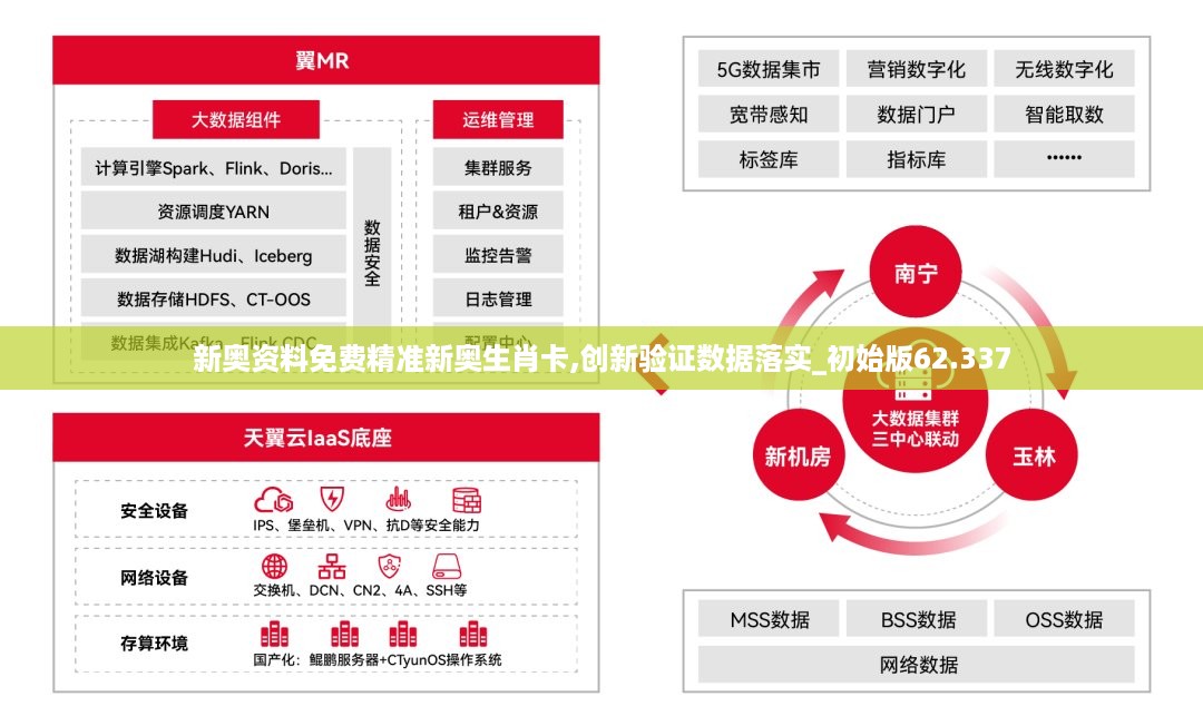 正版资料免费精准新奥生肖卡,数据导向计划设计_优选版32.663