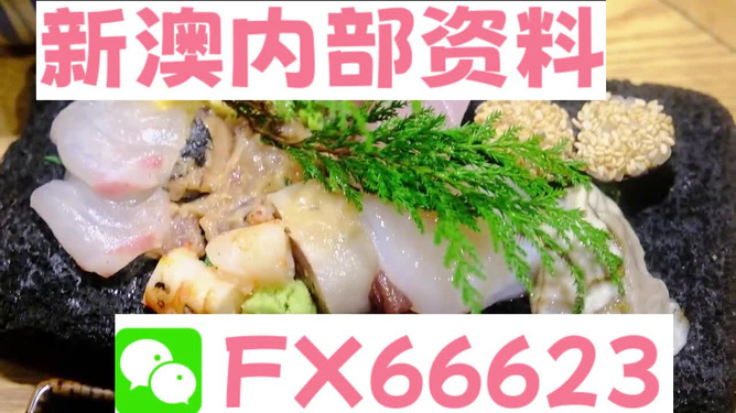 新澳精准资料免费大全,最新核心解答落实_动态版61.833