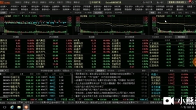 刘伯温四码八肖八码凤凰视频,实地解答解释定义_M版13.82