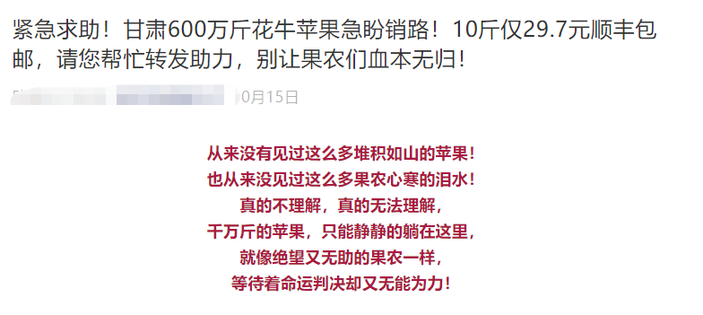 新澳门一码一肖一特一中水果爷爷,稳定性操作方案分析_Essential55.377