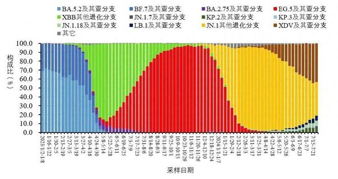 新冠病毒2024年最新消息,实效策略解析_冒险款93.176