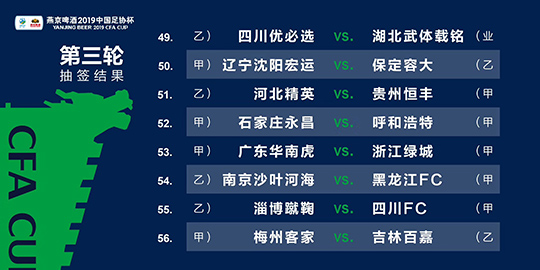 2024年澳门天天开好彩精准免费大全,全面理解执行计划_ios51.766