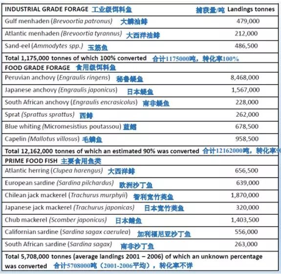 2024新奥正版资料最精准免费大全,实地评估解析数据_4K版85.448